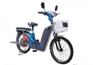 Chinese-Electric-Bike-BZ-1011-