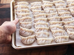 20150309-gyoza-how-to-japanese-dumpling-recipe-29